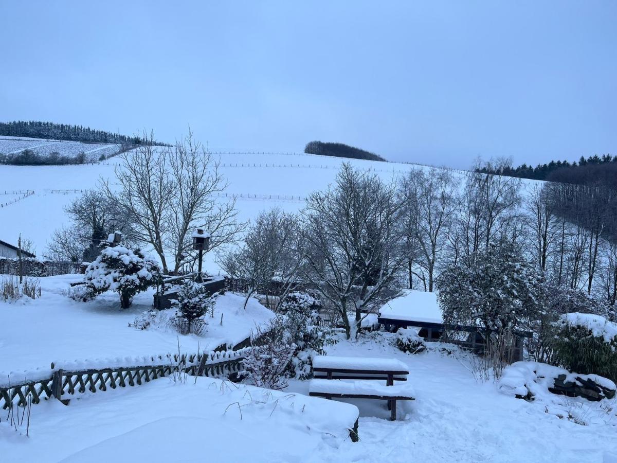 Weitblick Auf Berg, Wald Und Wiese Schmallenberg Ngoại thất bức ảnh